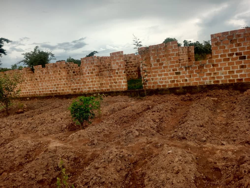 Incomplete house/plote window level